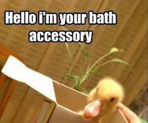 bath accessory