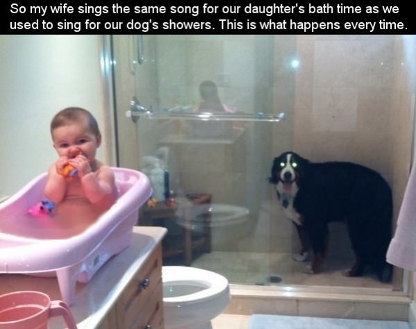 Bath Time Song funny picture