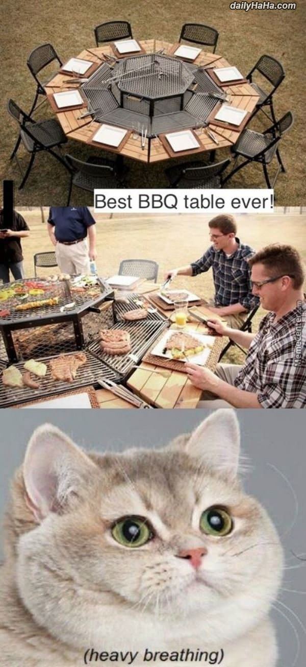 bbq table funny picture