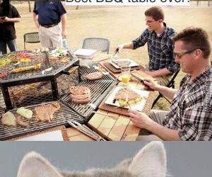 bbq table funny picture