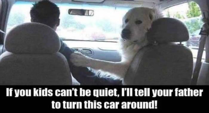 be quiet back there funny picture