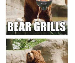 bear grylls funny picture