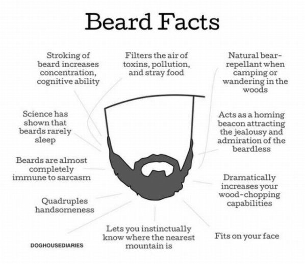 Beard Facts funny picture