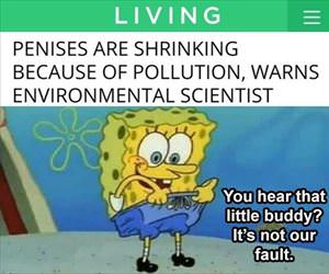 because of pollution