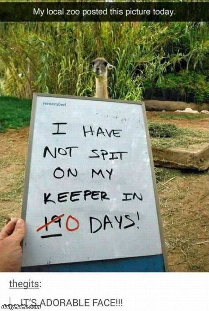 been a few days now funny picture