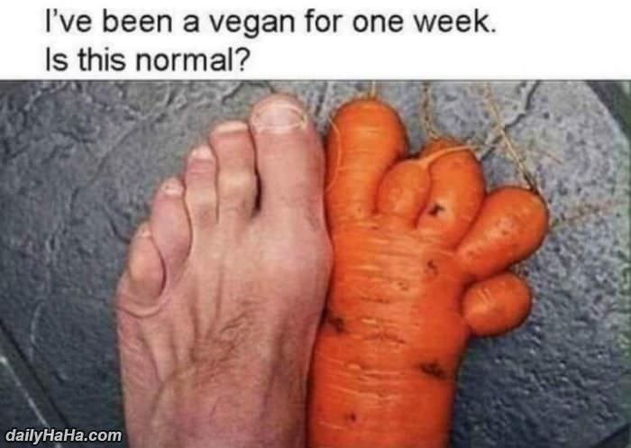 been a vegan for a week funny picture