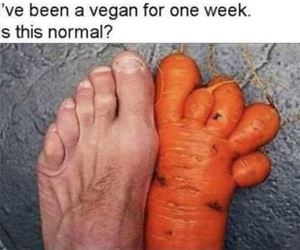 been a vegan for a week funny picture