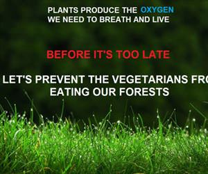 before it is too late