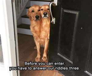 before you enter funny picture
