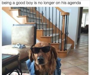 being a good boy