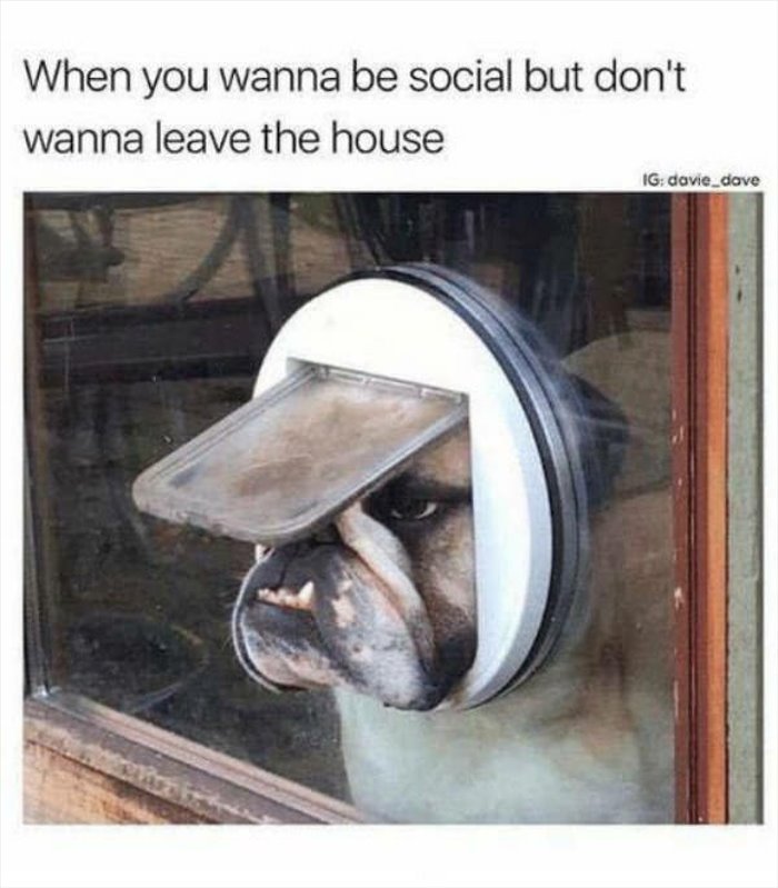 being social