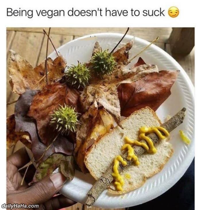 being a vegan funny picture