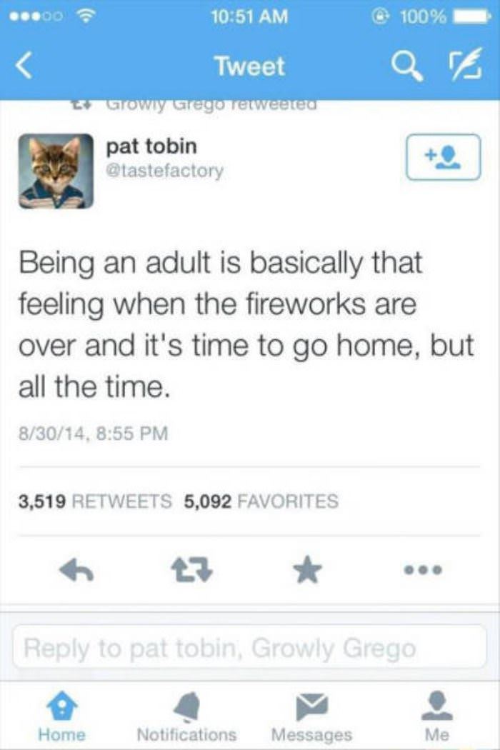 being an adult funny picture