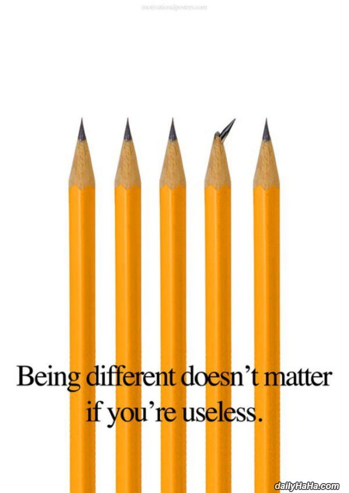 being different funny picture