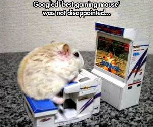 Best Gaming Mouse funny picture