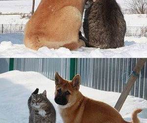 Best of Friends funny picture