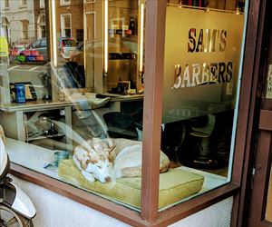 best seat in the house