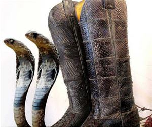 best boots ever made funny picture