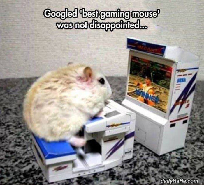 best gaming mouse funny picture