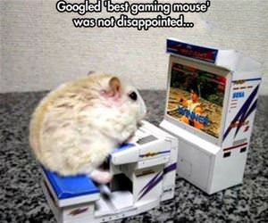 best gaming mouse funny picture