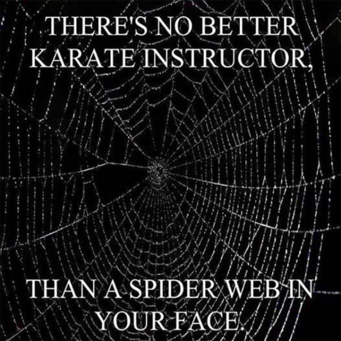 best karate instructor funny picture