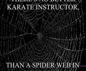 best karate instructor funny picture