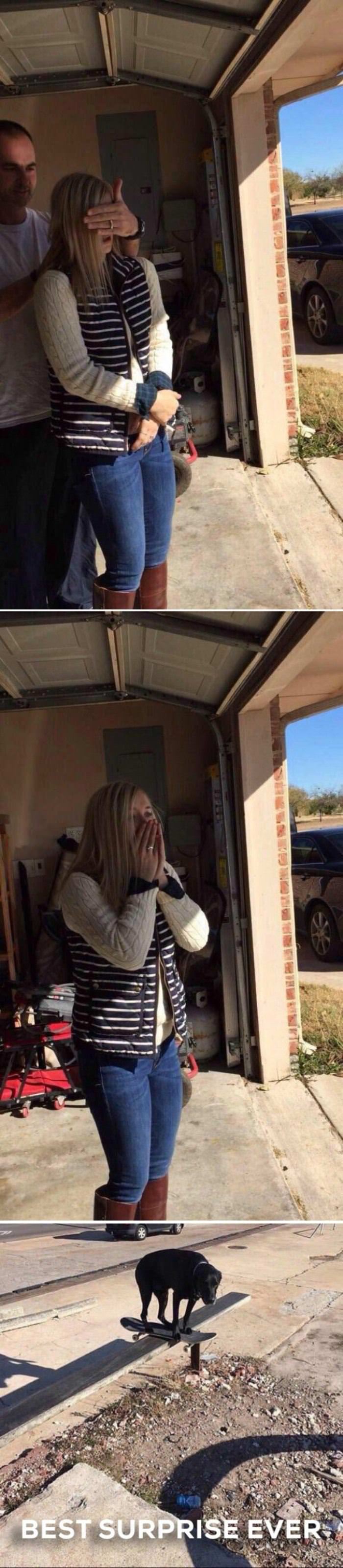 best surprise ever funny picture