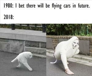 bet there will be flying cars