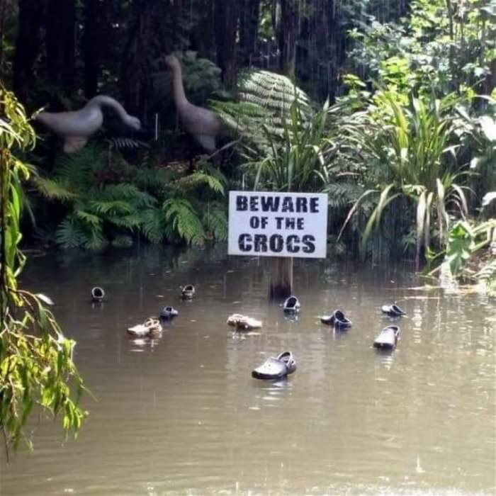 beware of the crocs ... 2