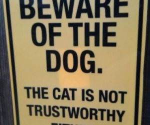 Beware of Dog funny picture