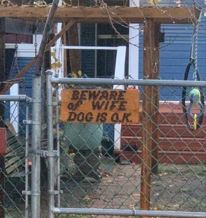 beware of the dog ... 2