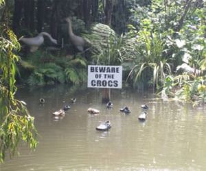 beware of the crocs funny picture