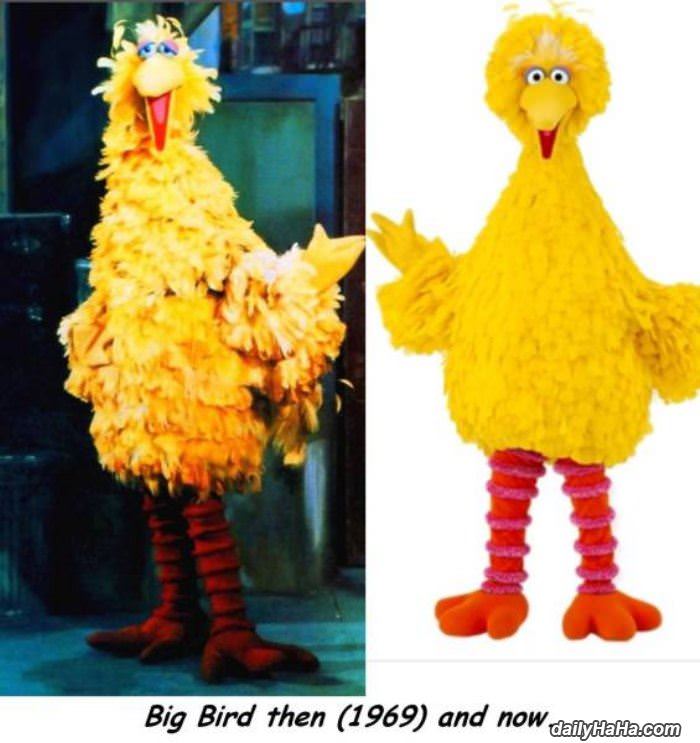 big bird has changed funny picture