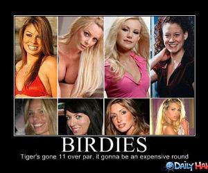 Birdies funny picture