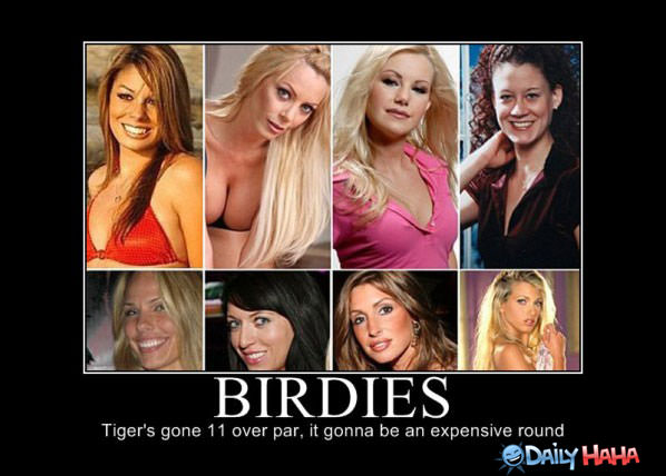 Birdies funny picture