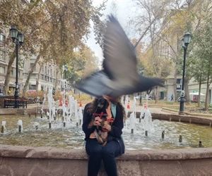 birdy bomb