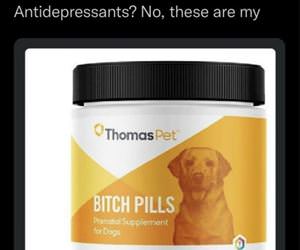 bitch pills