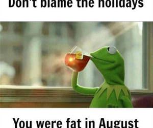 blame the holidays funny picture