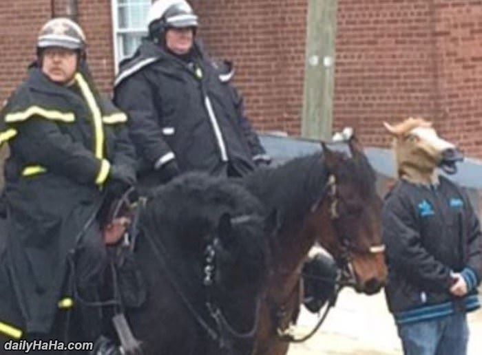 blending in funny picture