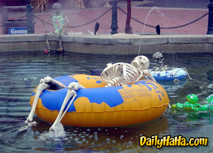 Yeah I want to swim with those guys