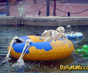 Yeah I want to swim with those guys