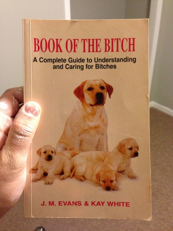 Book For Understanding Bitches funny picture