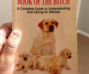 Book For Understanding Bitches funny picture