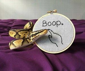boop ... 2