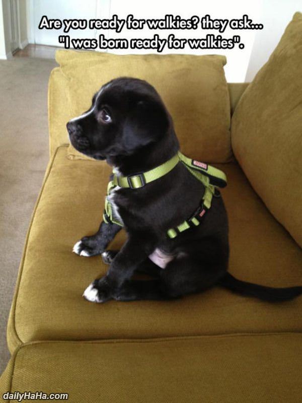 born ready funny picture