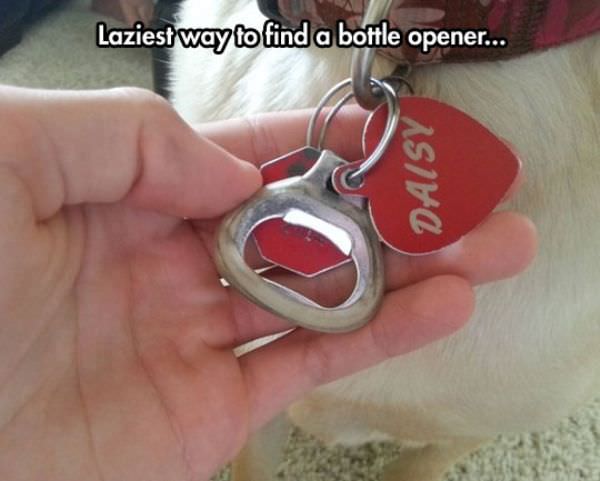 Bottle Opener funny picture