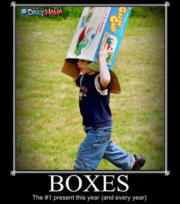 Boxes #1 Gift Funny Pic