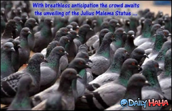 Breathless Anticipation funny picture