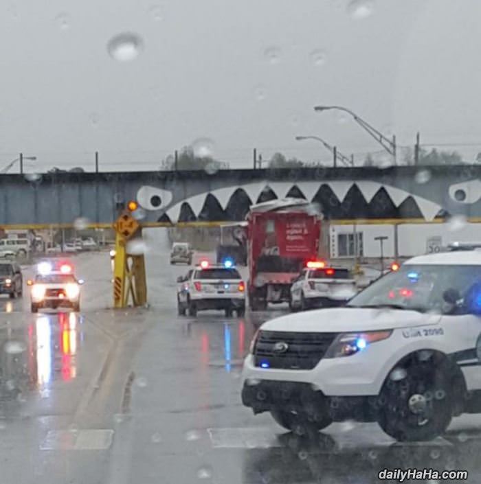 bridge is hungry nom nom nom funny picture