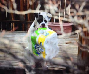 brightened my day funny picture